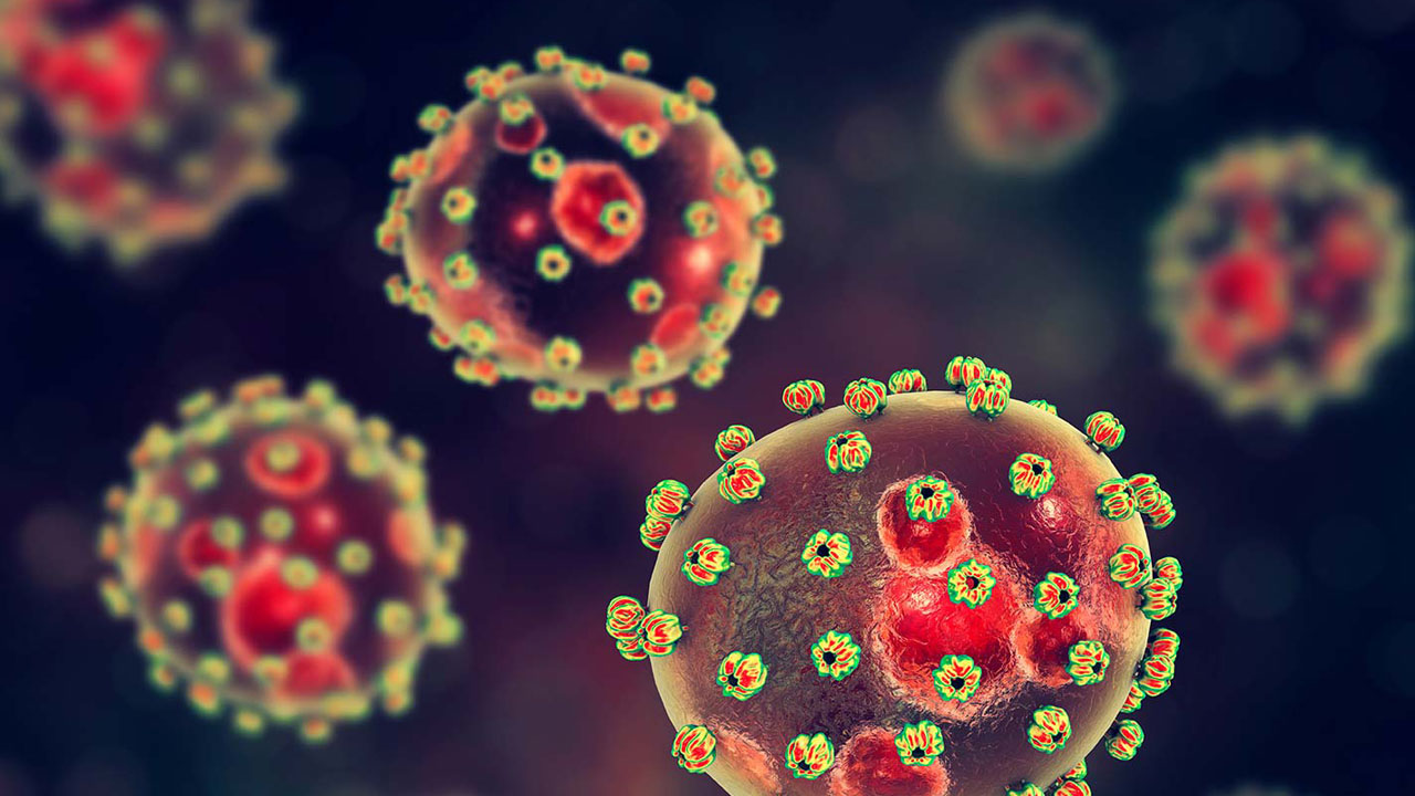 Death toll from Lassa fever rises to 152 in Nigeria