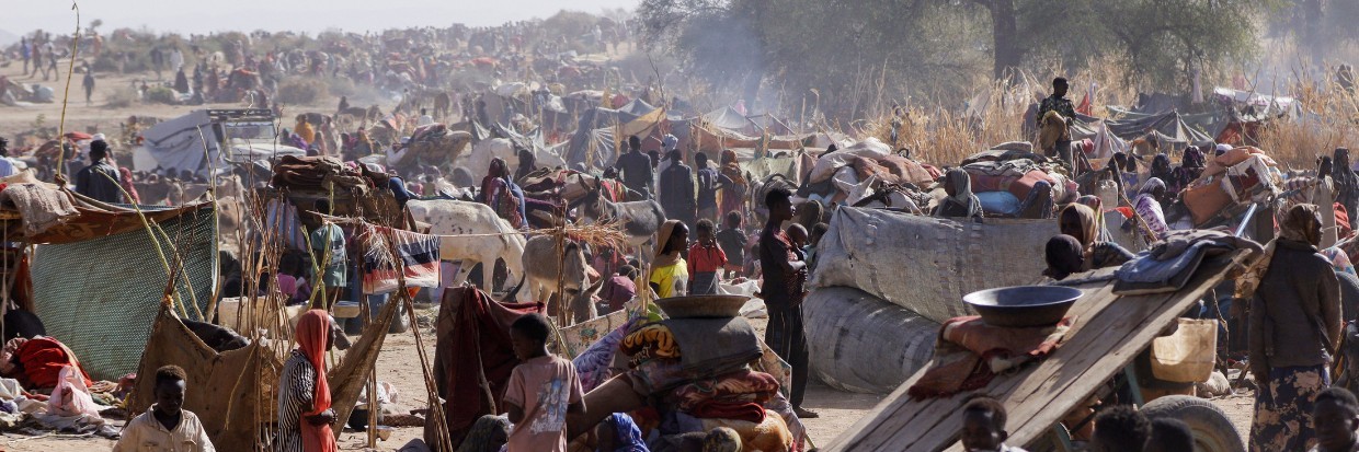 Sudan: UN Human Rights Chief appalled by continued killing of civilians in El Fasher