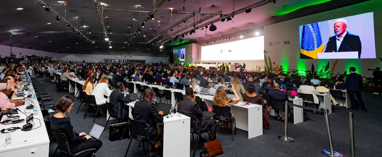 30th United Nations Climate Conference (COP 30): Multilateral development banks reaffirm their commitment to climate finance, pledge innovative funding for adaptation