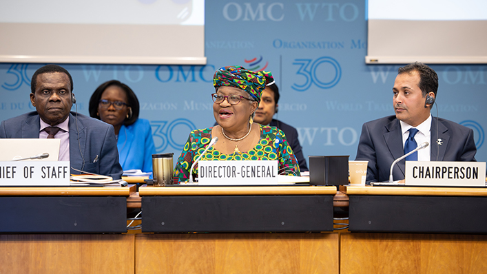 14th WTO ministerial conference opens in Cameroon amid calls for urgent reform
