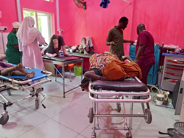 AU strongly condemns deadly suicide bombings in northeastern Nigeria