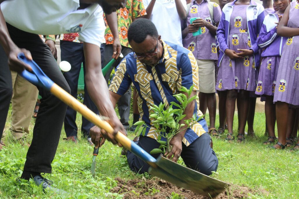 Ghana launches 2026 Tree-For-Life programme to boost green economy ...