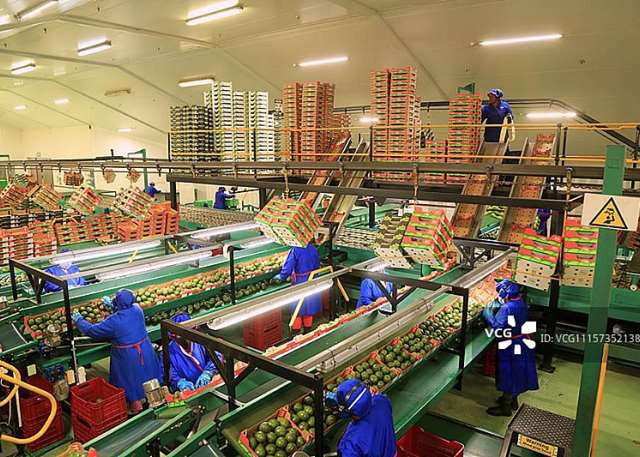 China provides new development opportunities for Africa with zero-tariff policy